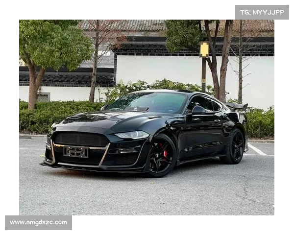 V8手动挡+后驱,自带大尾翼!全新一代福特Mustang首发 V8手动挡+后驱,自带大尾翼!全新一代福特Mustang首发
